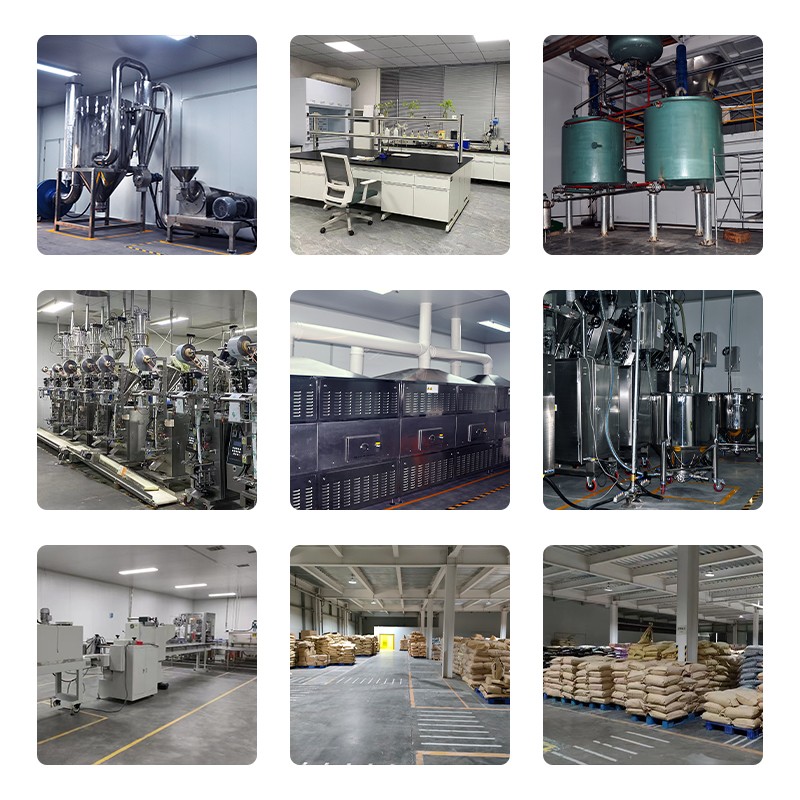 Chlorophyll Liquid Drops Supplier - OEM High Quality Detox Supplement