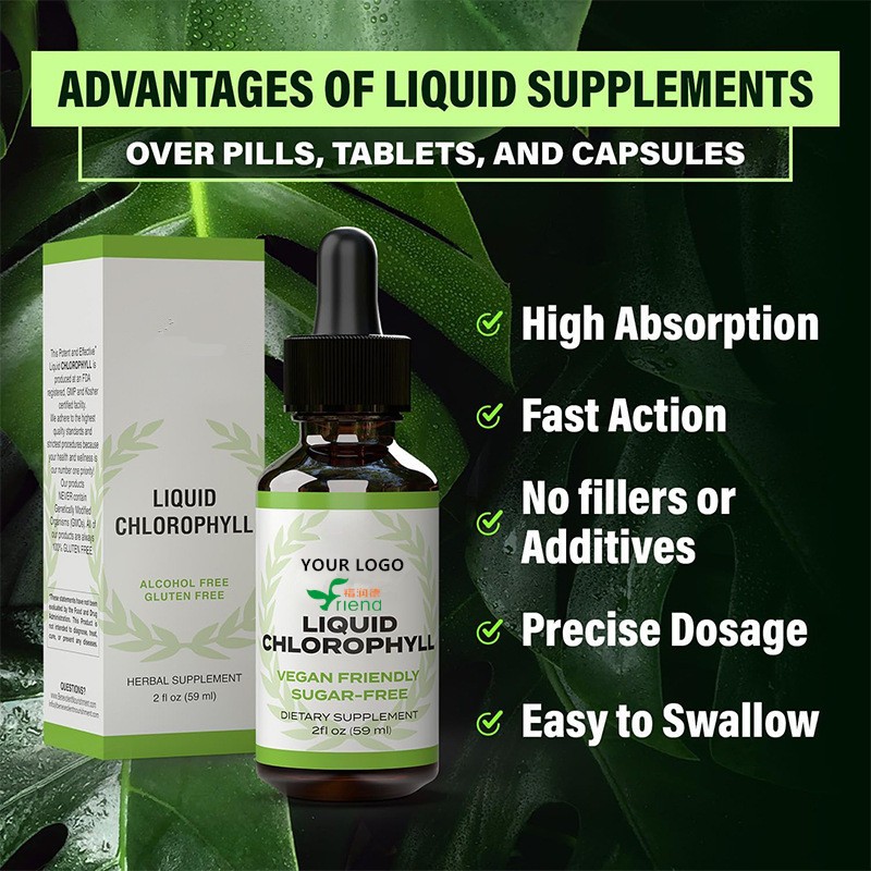 Chlorophyll Drops Manufacturer - Energy Boost Immune Support Herbal