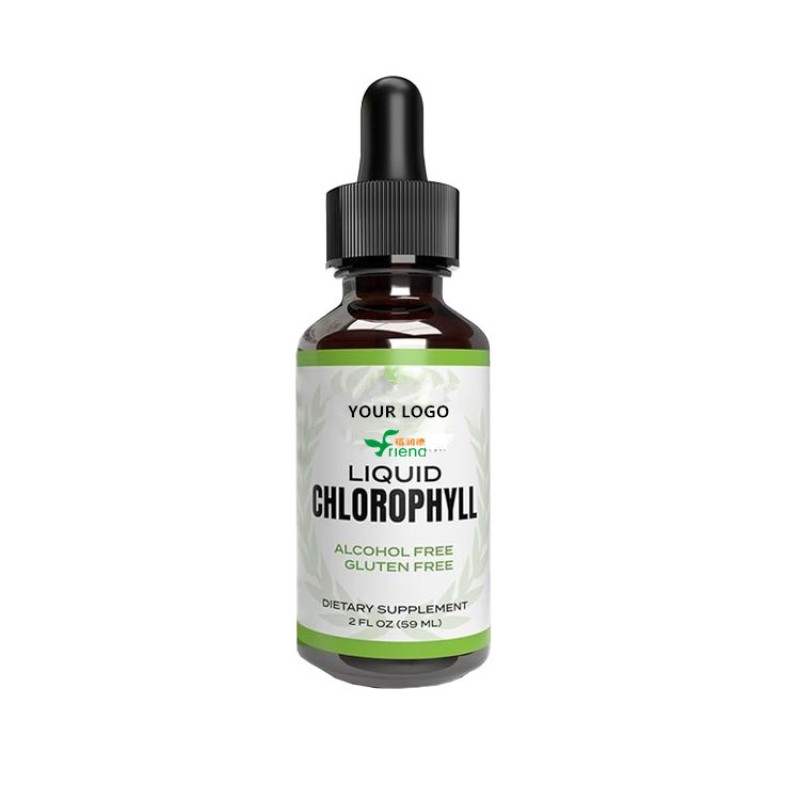 Chlorophyll Drops Manufacturer - Energy Boost Immune Support Herbal