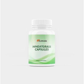 Wheat Grass Extract Capsules Manufacturer - Private Label Immunity Booster