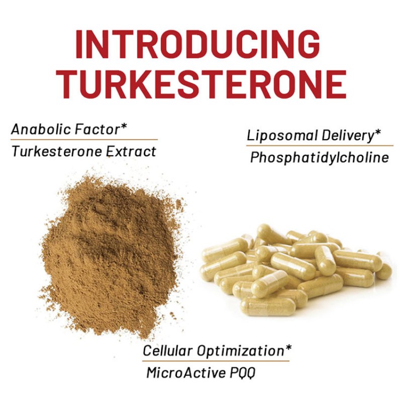 Turkesterone Extract Capsules Supplier - Private Label Natural Herbal Supplement