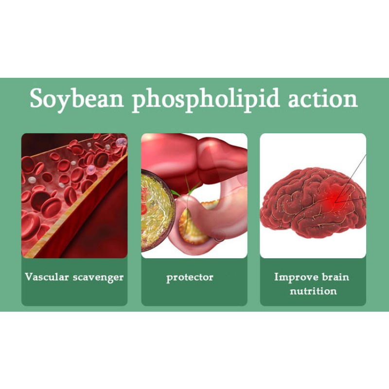 Soy Lecithin Capsules Supplier - Private Label Memory Sleep Vitamin E