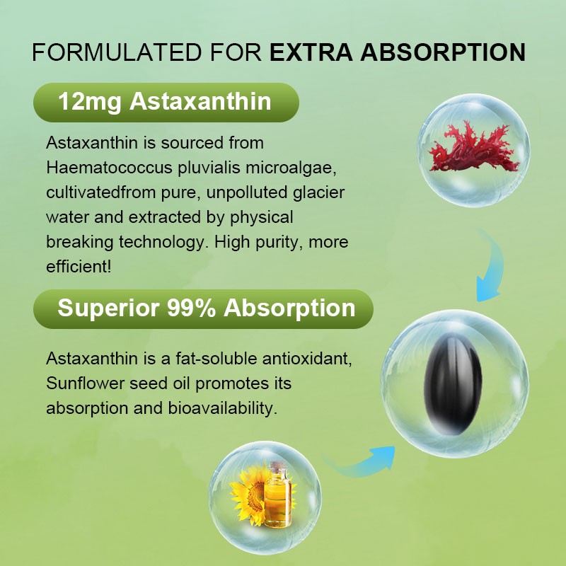Astaxanthin Soft Capsules Manufacturer - OEM Halal Omega-3 EPA DHA