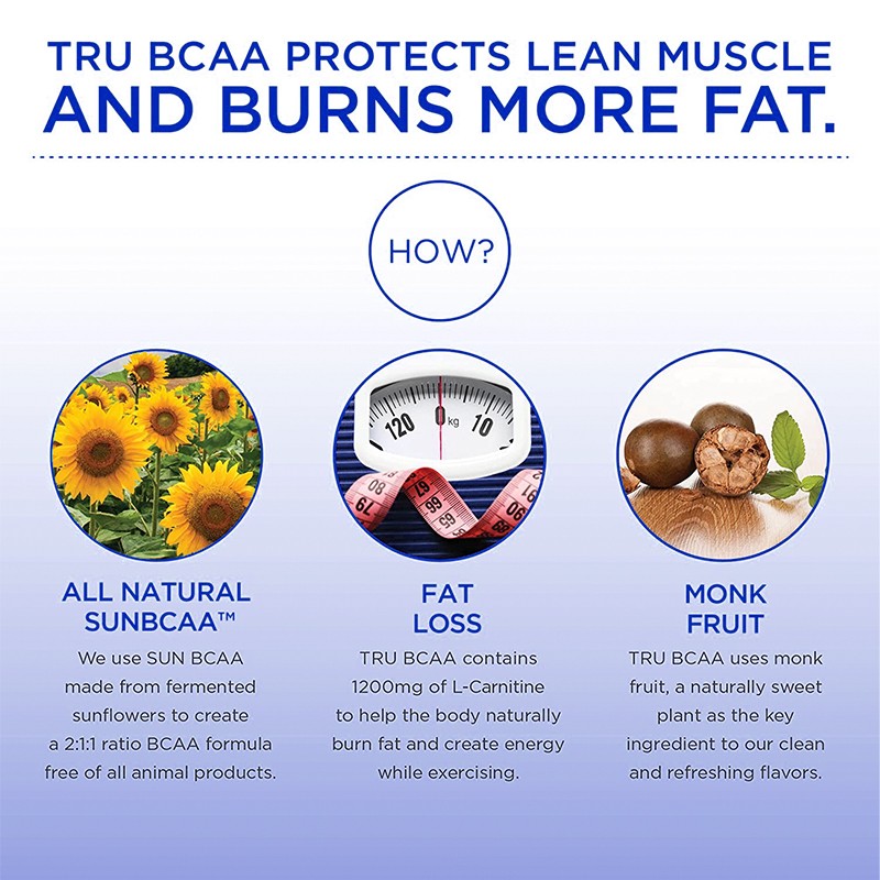 Creatine Gummies Factory - Monohydrate HCL Energy Boost Supplement