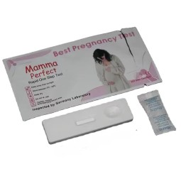 Pregnancy Test Kits Supplier - Factory HCG Cassette Rapid Detection