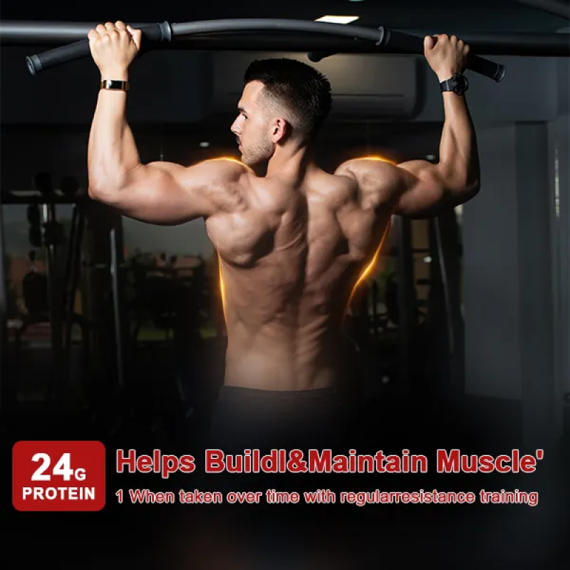 Sports Protein Powder Supplier - ODM High Protein Mass Gainer