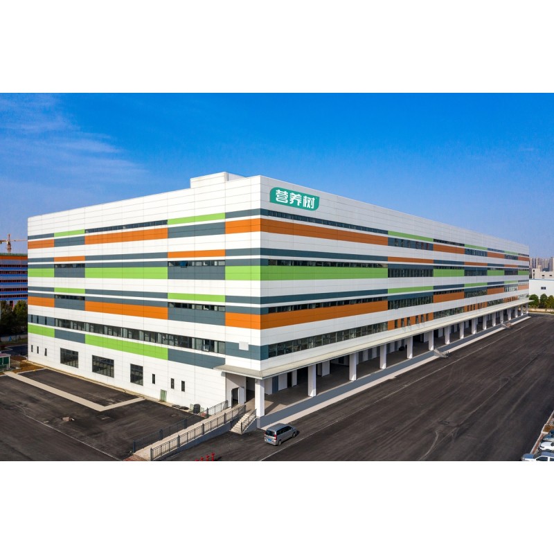 Detox Beauty Powder Manufacturer - Matcha Green Tea Probiotics Formula