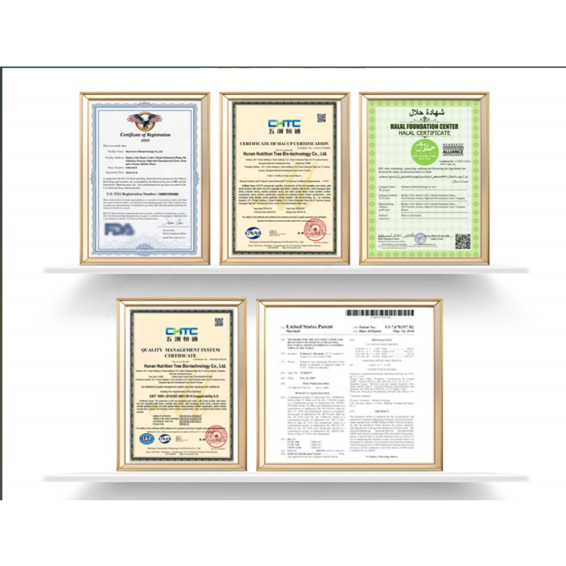 Multi Collagen Peptides Powder Supplier - ODM/OEM Hydrolyzed Protein Supplement