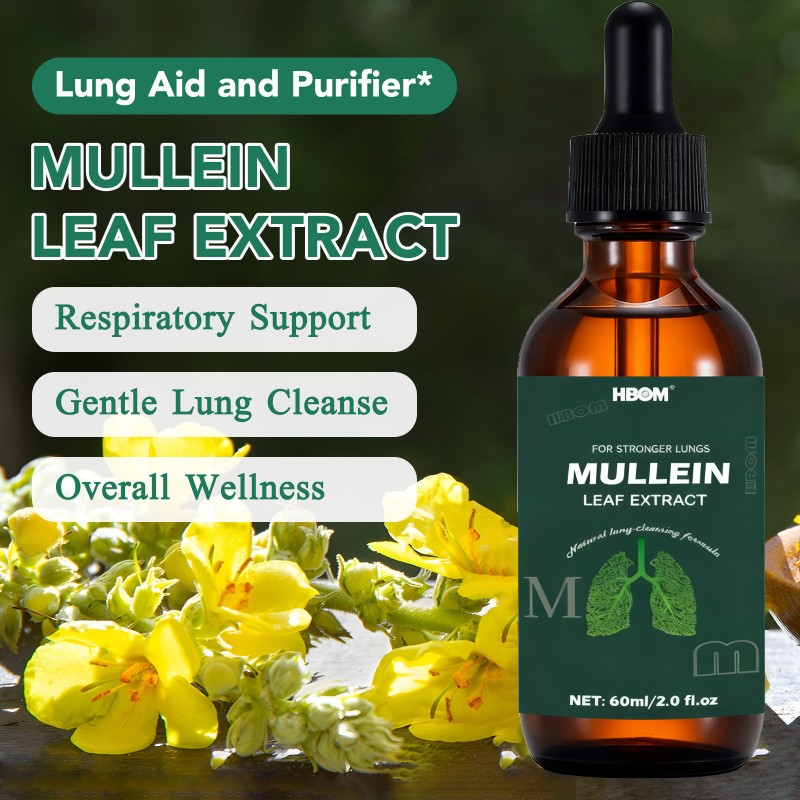 Lungs Cleanse Drops Factory - OEM Private Label Natural Breathing Mullein