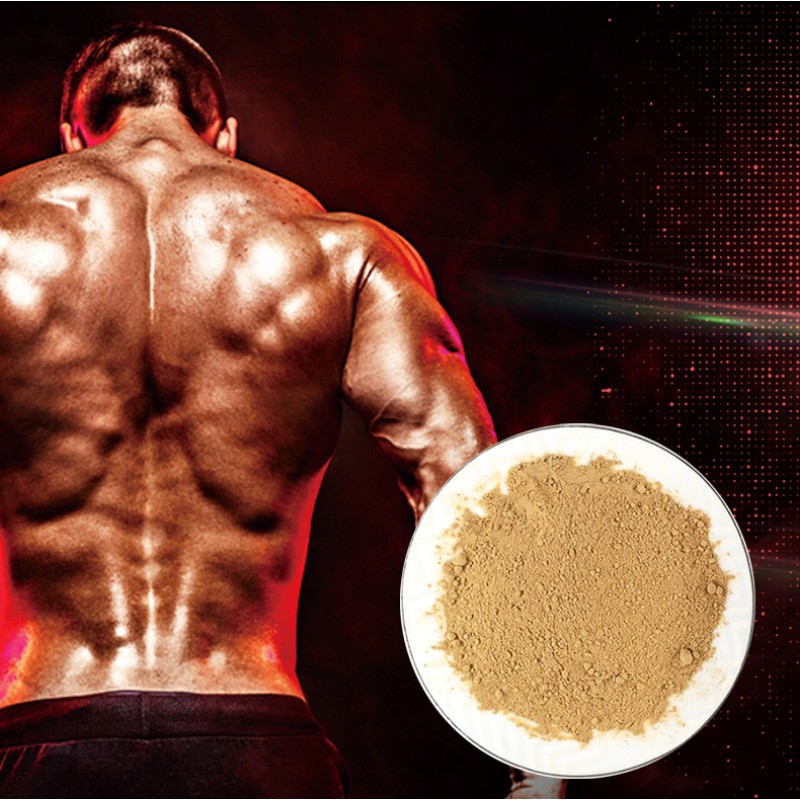 Maca Root Capsules Manufacturer - OEM Private Label Energy Stress Relief