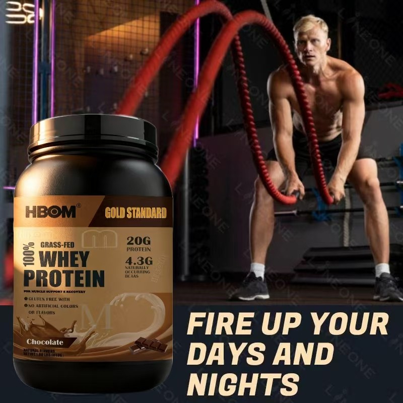 Whey Protein Powder Factory - OEM Wholesale Fitness Chocolate Quality