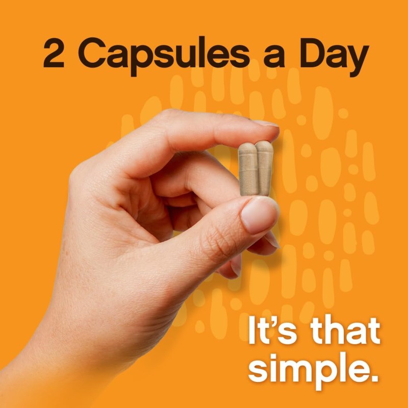 Mushroom Complex Capsules Manufacturer - OEM Private Label Lions Mane Ashwagandha