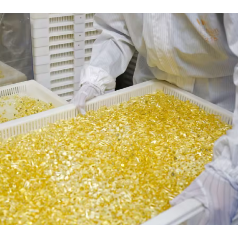 Multi Collagen Capsules Factory - OEM Custom Grass Fed Complex Women