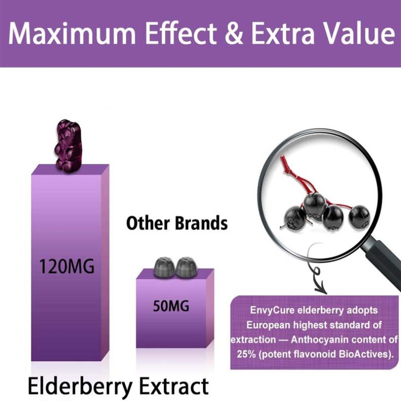 Private Label Immune Support Antioxidants Organic Sambucus Elderberry Supplement Daily Gummies