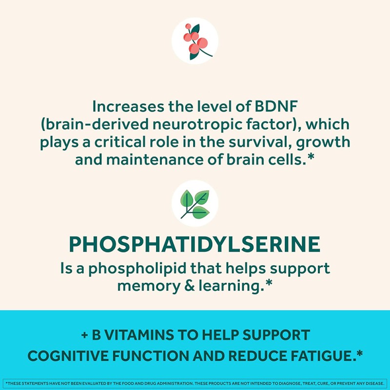 Fruit Flavored Vitamin Brain Gummies Gummy Supplements Wholesale Natural for Kids and Adults 5-HTP Gummy Candy Custom Colors