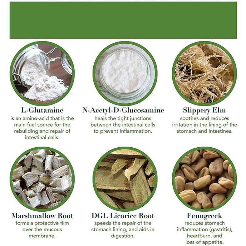 Natural Gut Repair Supplement L-Glutamine Licorice Root Natural GLR-6 Capsule