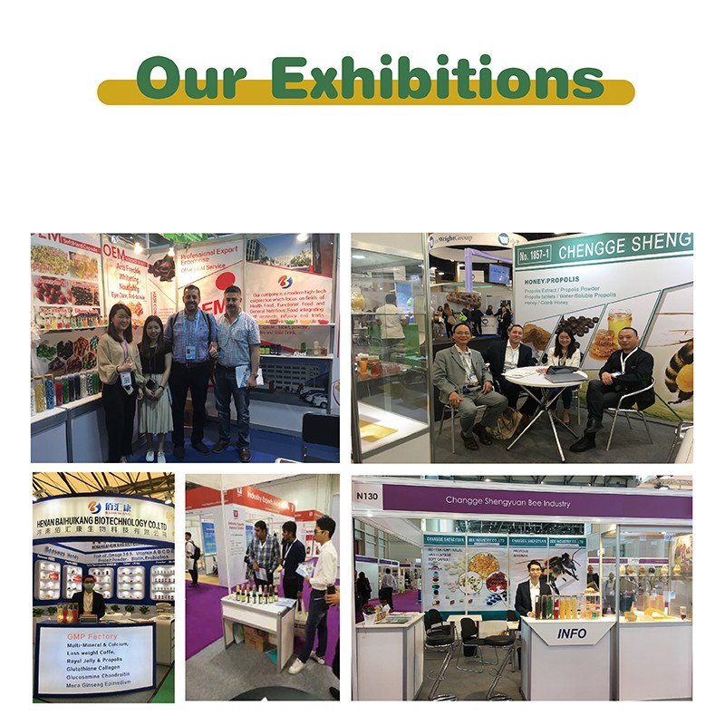 Amazon Hot Selling Private Label OEM in Bulk Best omega 3 Fish Oil Halal Softgels Capsule Wholesale