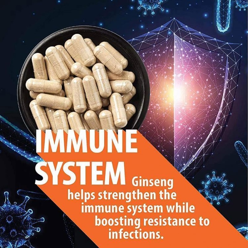 Amazon Hot Selling in Stock Korean Red Panax Ginseng + Ginkgo Biloba Ginseng Root Extract Powder Ginseng Herbal Capsules