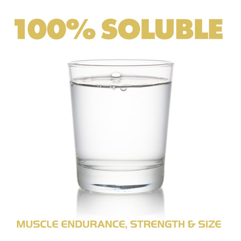 OEM Private Label Sports Supplements Micronized Creatine Monohydrate Pre-workout Powder in Bags