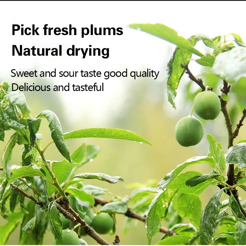 Weight Management Capsules Supplier - 15 Days Cleanse Detox