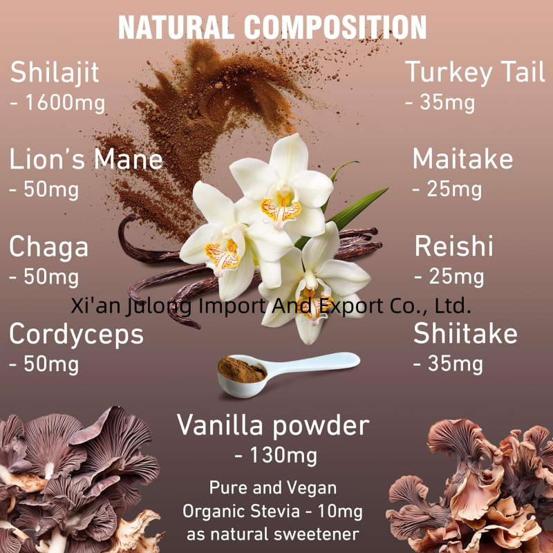 Shilajit Extract Powder Manufacturer - Julong Supply Organic Himalayan