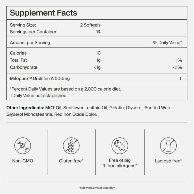 Urolithin A Capsules Manufacturer - OEM 500mg Antioxidant Supplement