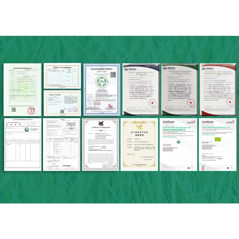 Shilajit Tablets Manufacturer - Julong OEM Enriched Ashwagandha