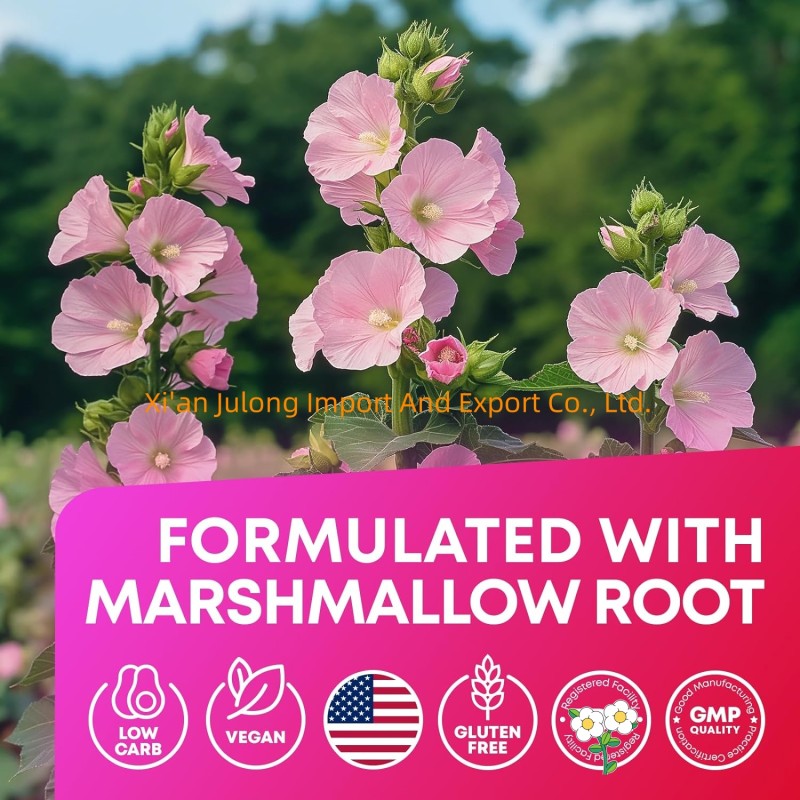 ACV Keto Gummies Supplier - Private Label Marshmallow Root Formula