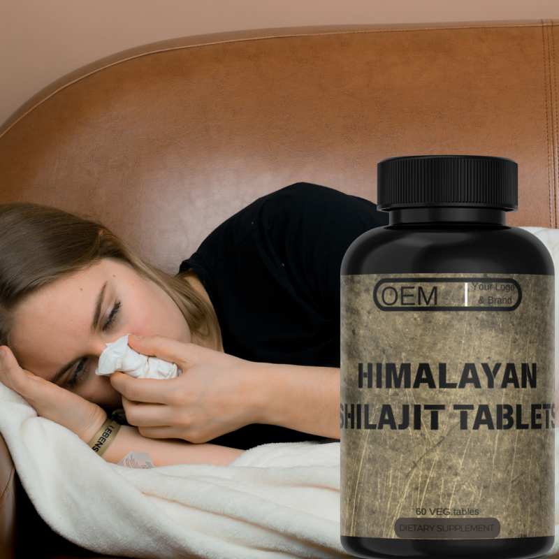 Himalayan Shilajit Pills Supplier - OEM Private Label Pure Dry Drops Tablets