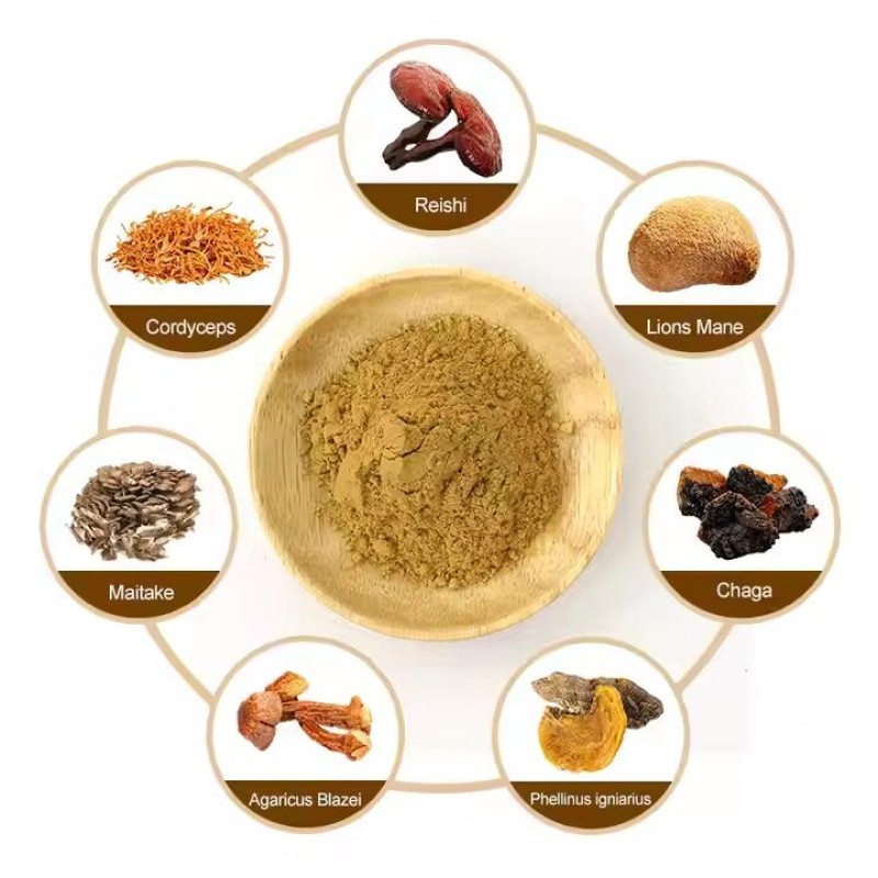 Mushroom Extract Blend Powder Supplier - OEM Custom Organic 7 in 1 Reishi Cordyceps