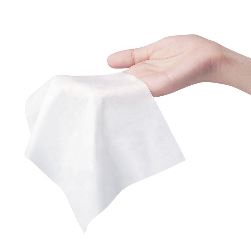 Pet Wipes Supplier - ECO Soft 200gsm Wet Cleaning