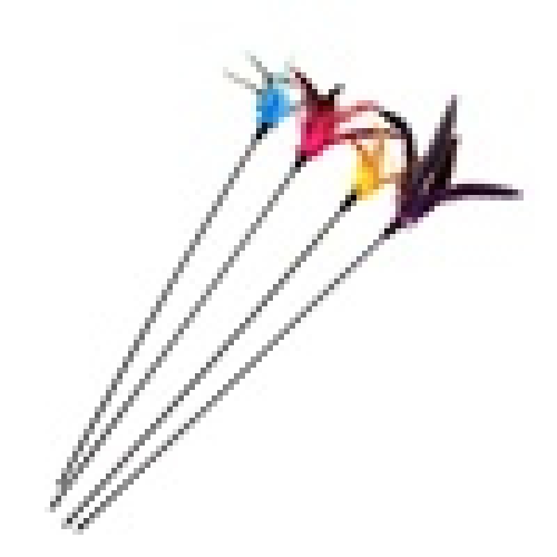 Bird Cage Toy Manufacturer - Funny Tumbler Kitten Sounding