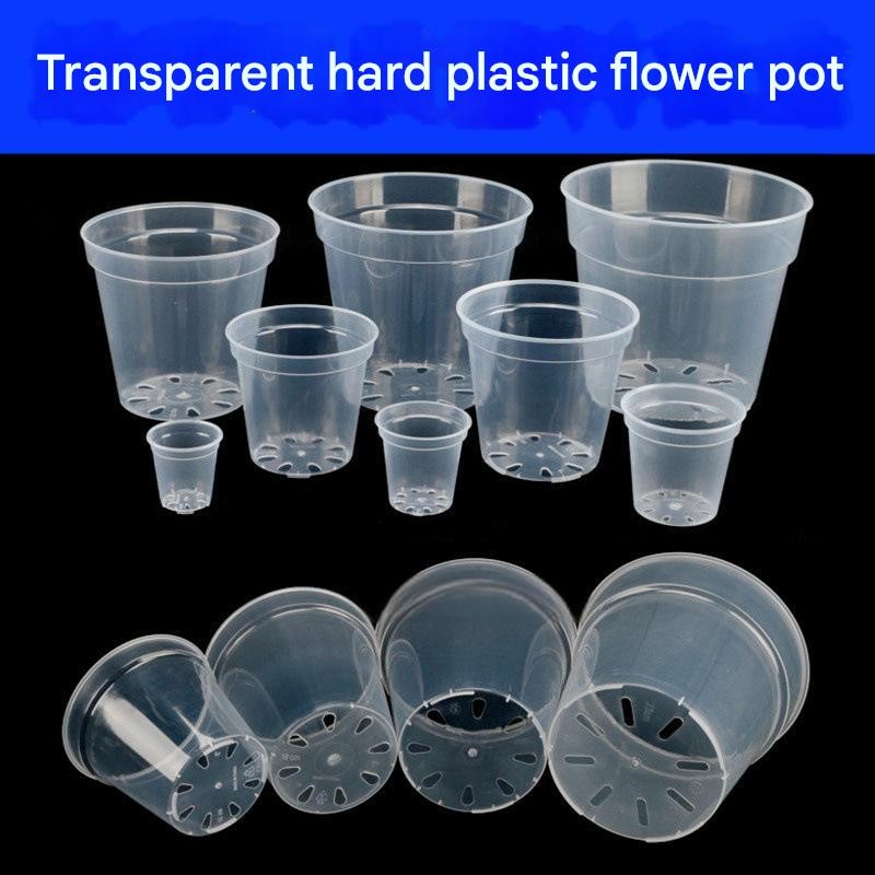 Orchid Pots Factory - 6 Inch Transparent with Holes