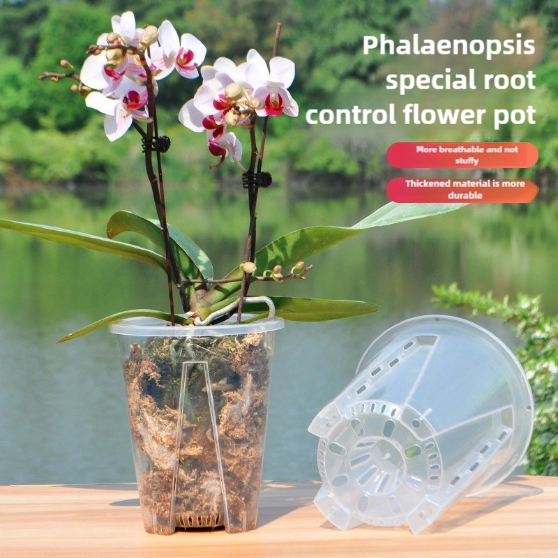 Clear Plant Pots Supplier - Thickened Design for Growth