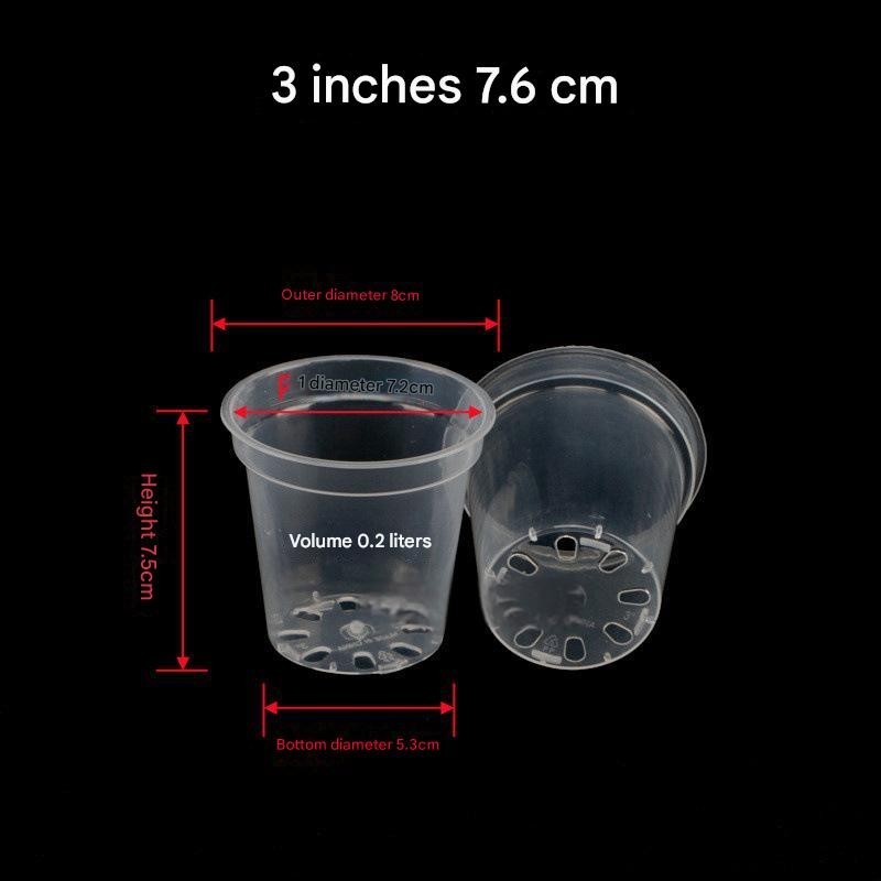 Orchid Pots Factory - 6 Inch Transparent with Holes