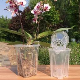 Clear Plant Pots Supplier - Thickened Design for Growth