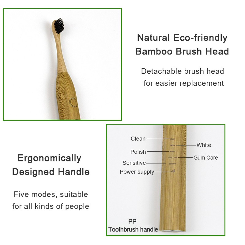 Bamboo Electric Toothbrush Manufacturer - Natural Biodegradable Ultrasonic