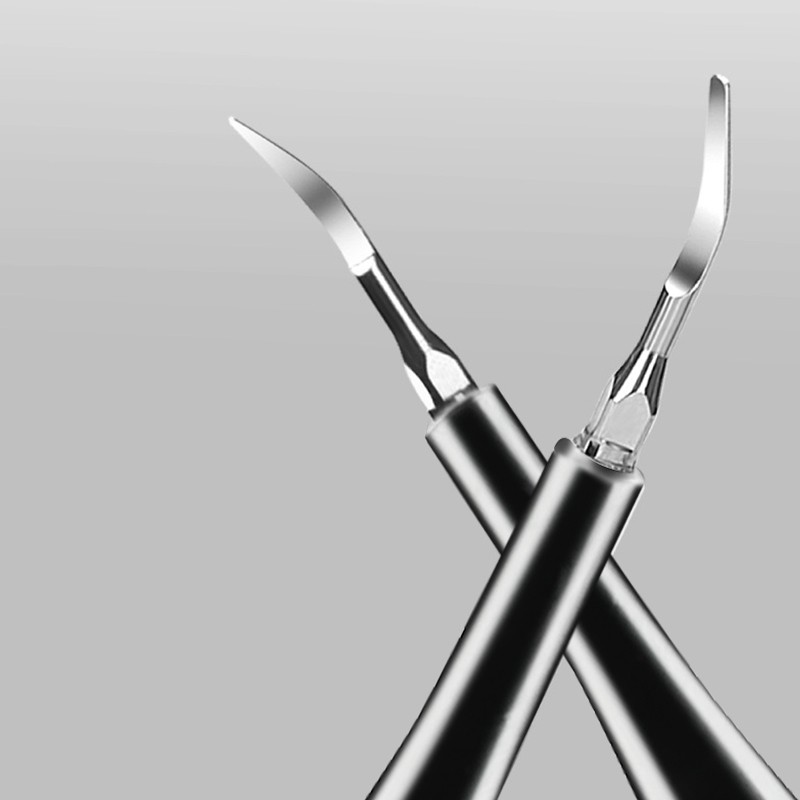 Denture Cleaning Box Supplier - Double Layer Japanese Soaking