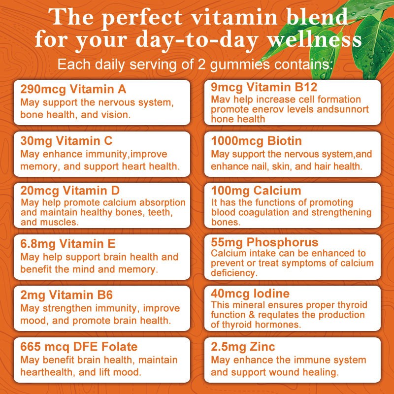 Hot Sale OEM Multi Vitamin Gummies Factory Price Healthcare Supplement