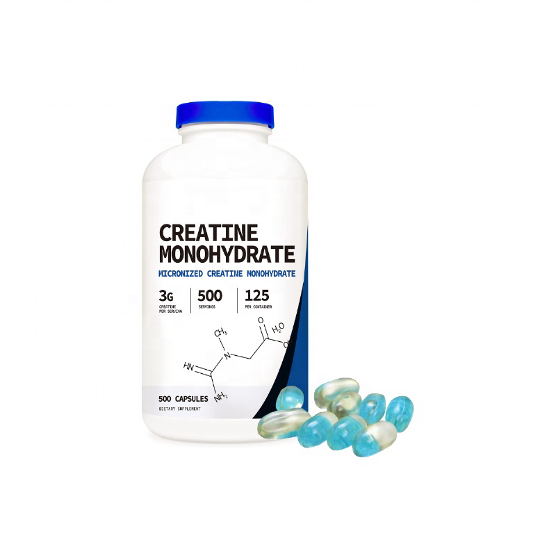 Creatine Monohydrate Powder Supplier - Sports Nutrition Supplement