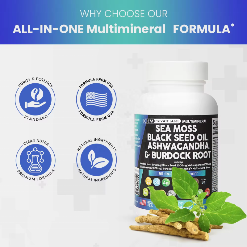 Sea Moss Capsules Factory - Certified Organic Bladderwrack Irish