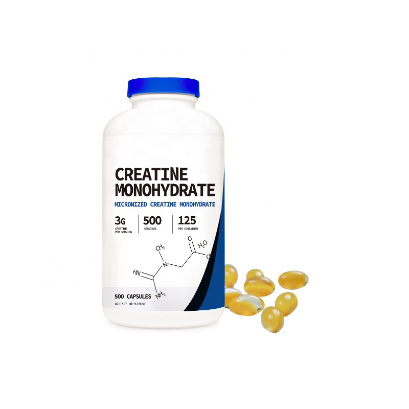Creatine Monohydrate Powder Supplier - Sports Nutrition Supplement