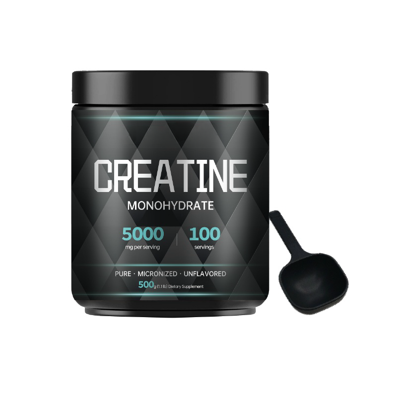 Creatine Monohydrate Powder Manufacturer - Daily Pre Workout Supplement