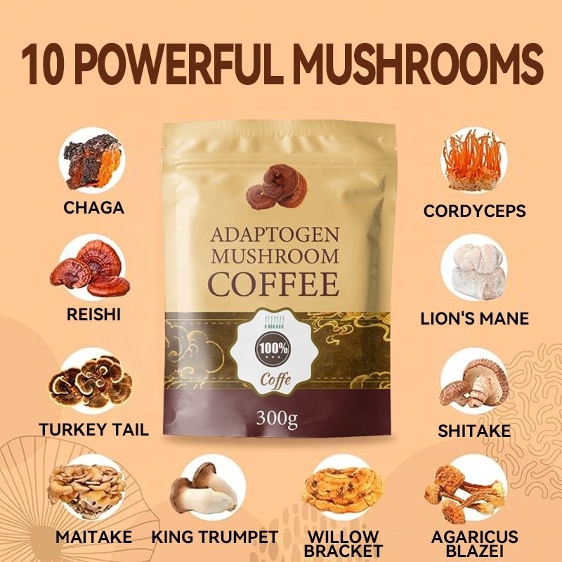 Mushroom Coffee Powder Manufacturer - Arabica with Chaga Rhodiola