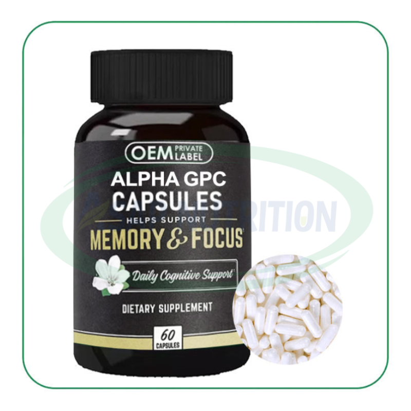 Nootropic Capsules Factory - Alpha Brain Premium Focus Memory