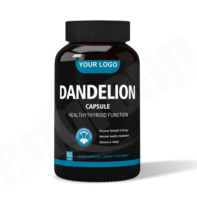 Dandelion Capsules Supplier - Health Supplement 500mg