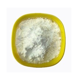 L-Theanine Powder Factory - Organic Green Tea Extract 98%