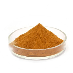 Corn Silk Extract Powder Manufacturer - 10:1 Healthcare