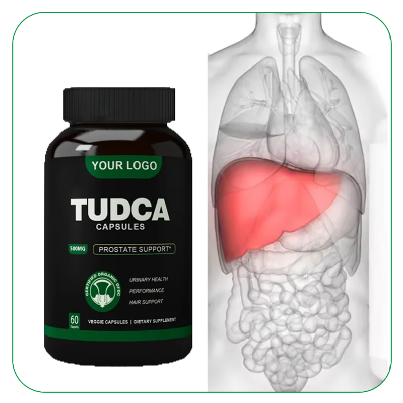 TUDCA Capsules Supplier - 1500mg Liver Support Formula