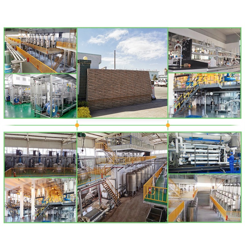 Silicone Resin Powder Factory - High Temperature CAS 67763-03-5
